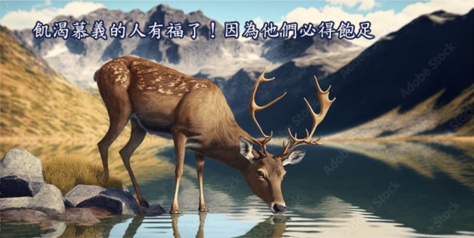 旧约圣经中的“约”系列之四:摩西(西乃)之约 - 我灵飞翔