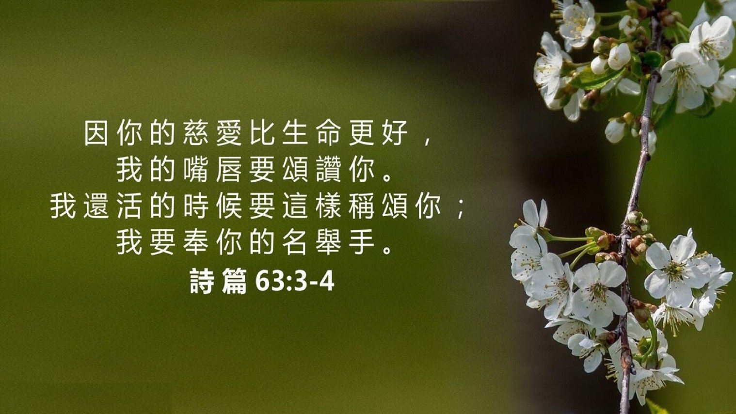 09-09-2024 祢的慈爱比生命更好