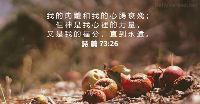 11-17-2024 神是我们的力量和福分