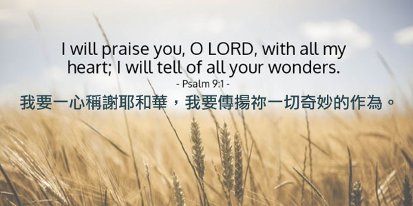 11-28-2024 感恩称谢神