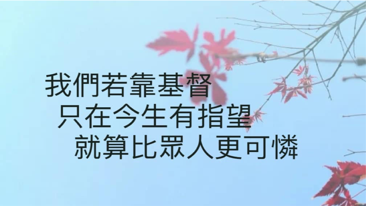 不作更可怜的人