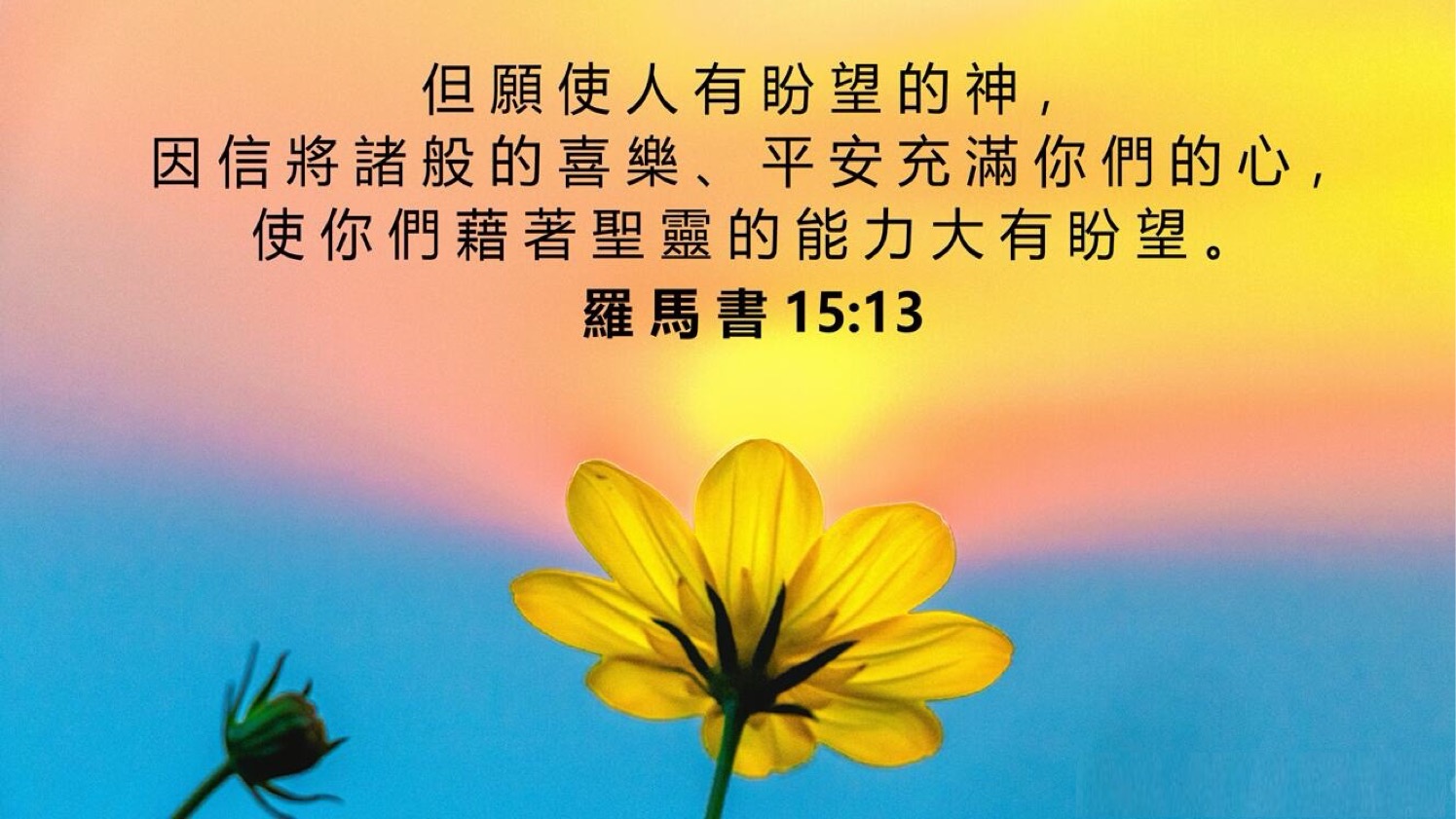 04-08-2025 大有盼望