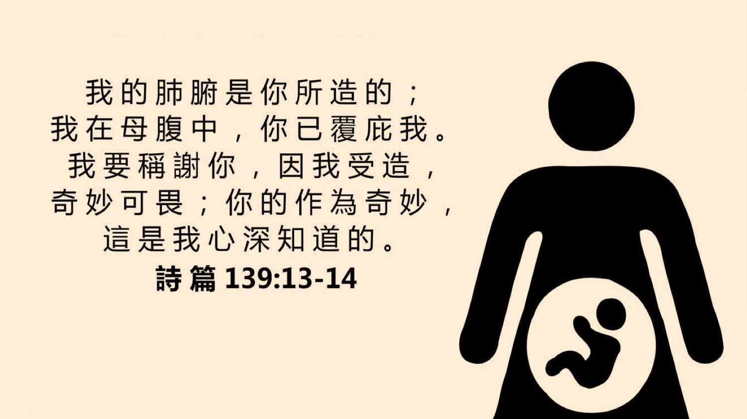 04-28-2025 神造物奇妙