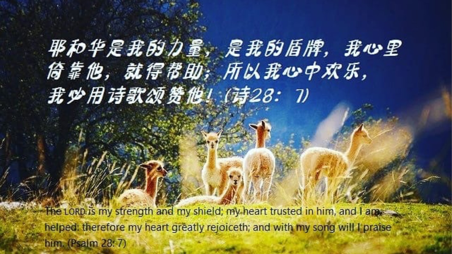 05-02-2025 倚靠祂得帮助
