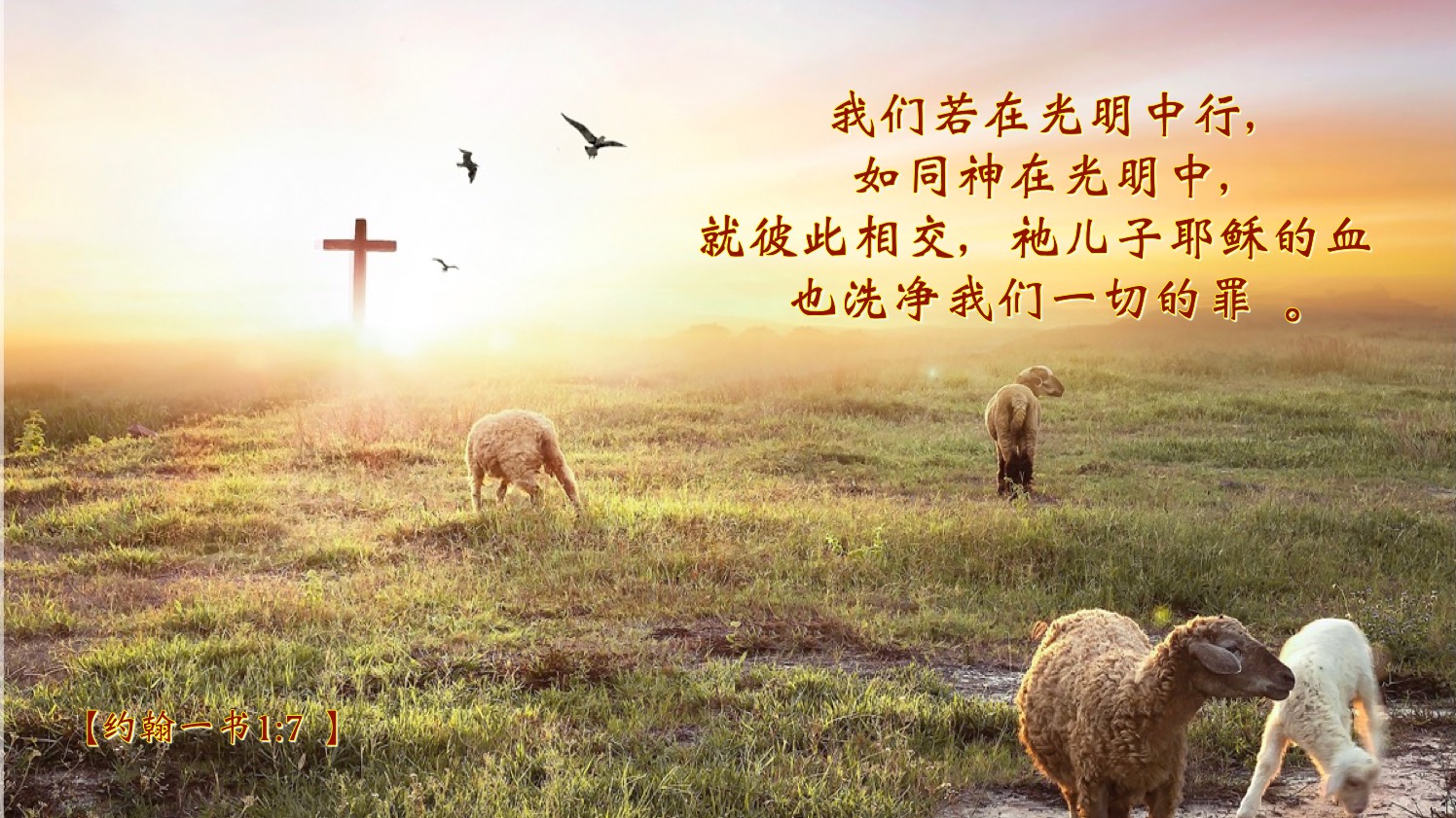 05-20-2025 在光明中行