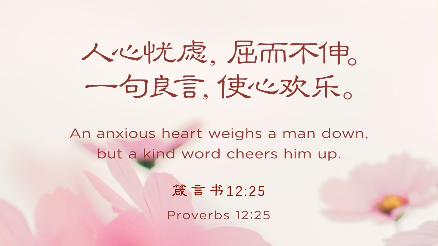 05-22-2025 勿忧宜乐