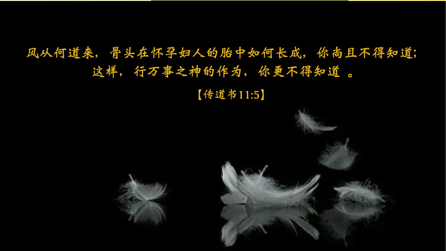 06-15-2025 神大能的作为