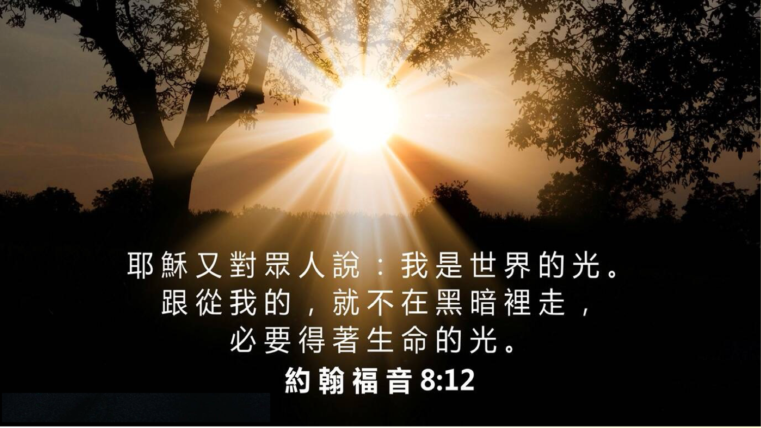 07-01-2025 世界的光