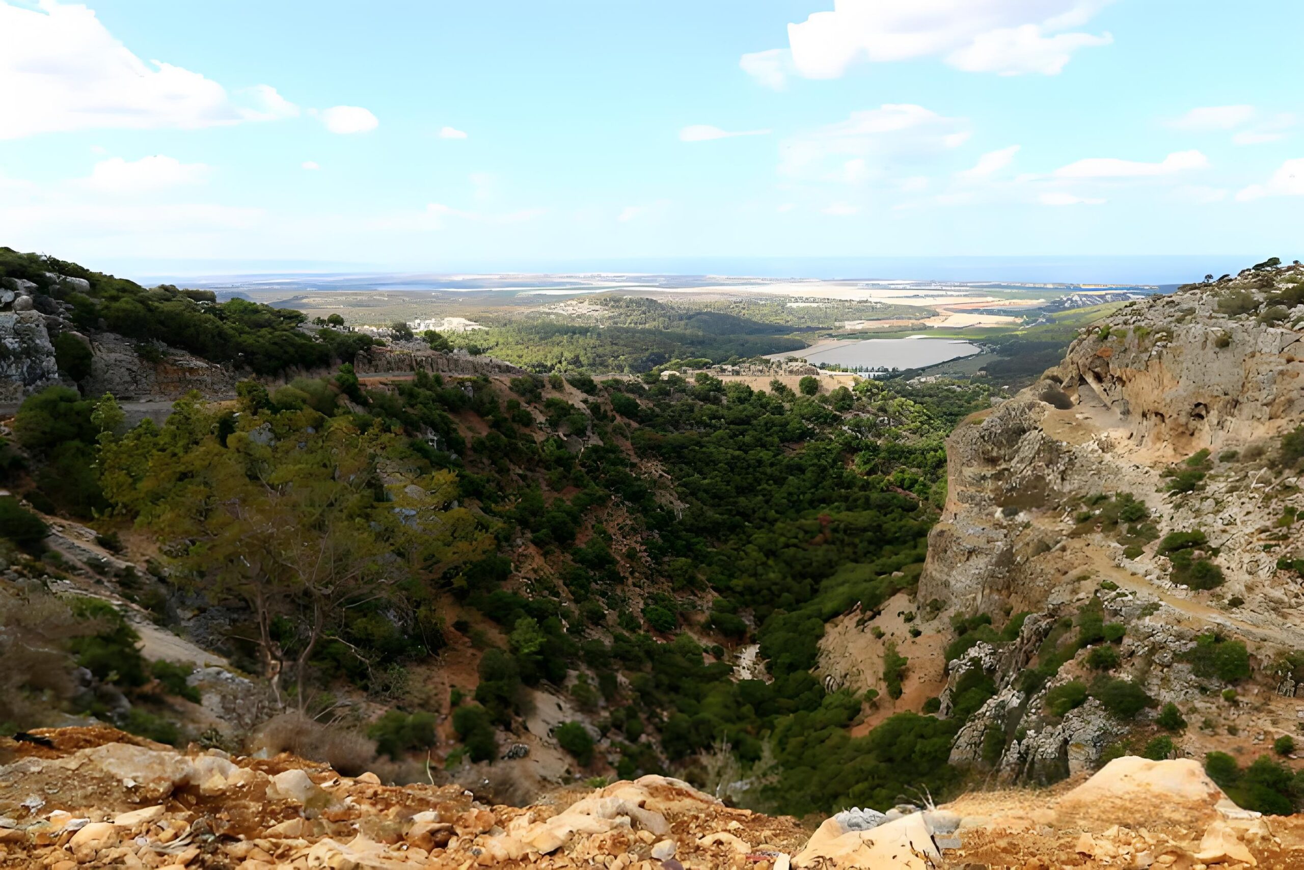 将这山地赏赐给我们