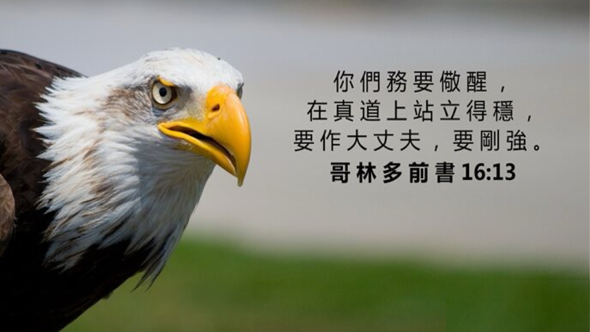 07-10-2025 务要儆醒