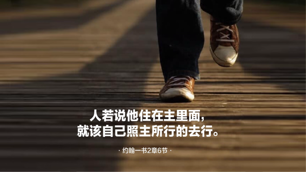 07-20-2025 行主所行