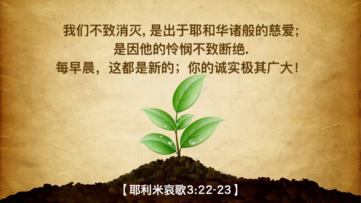 08-01-2025 神的慈爱