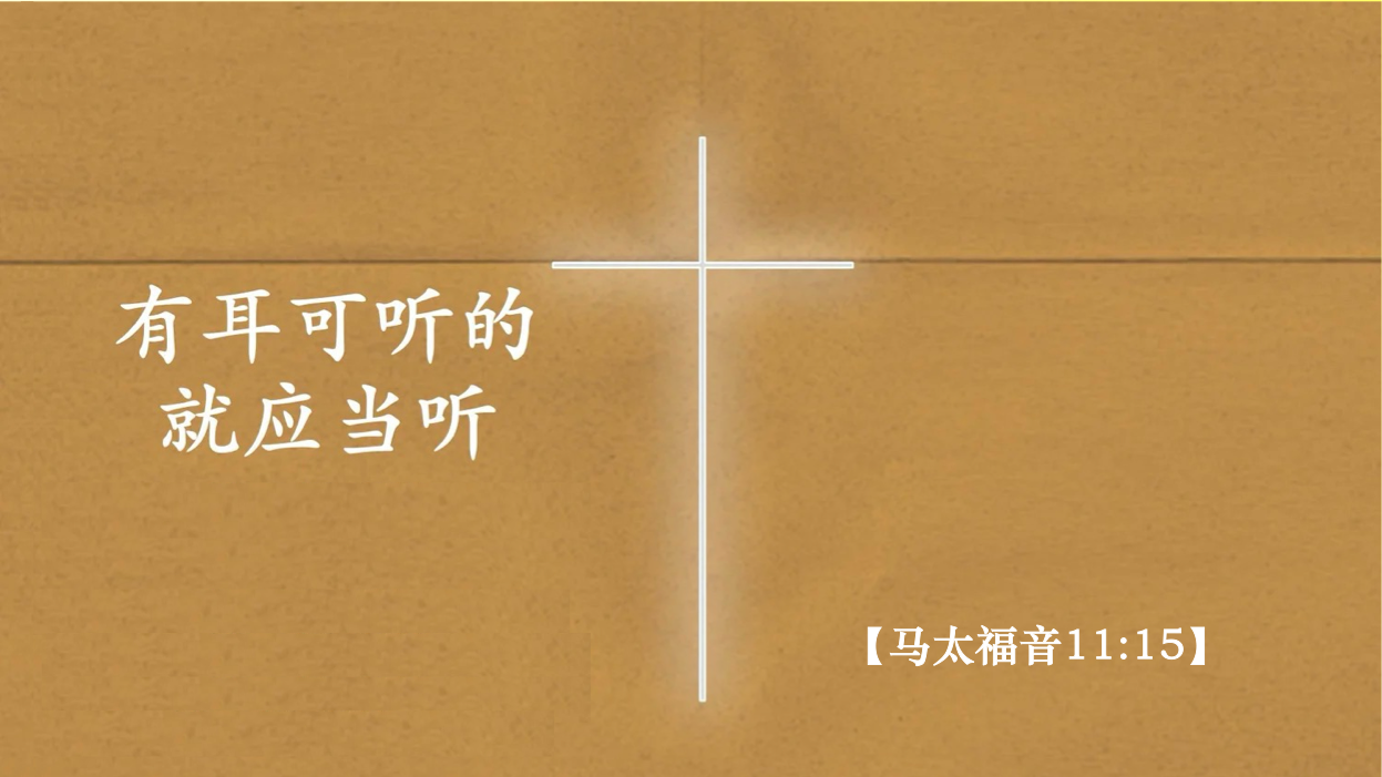 08-02-2025 听当听的