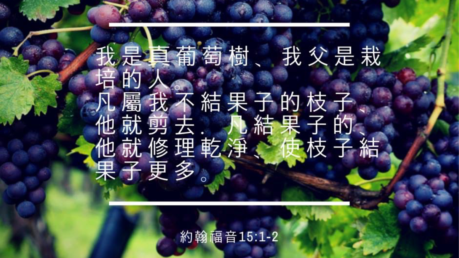 08-05-2025 结果更多