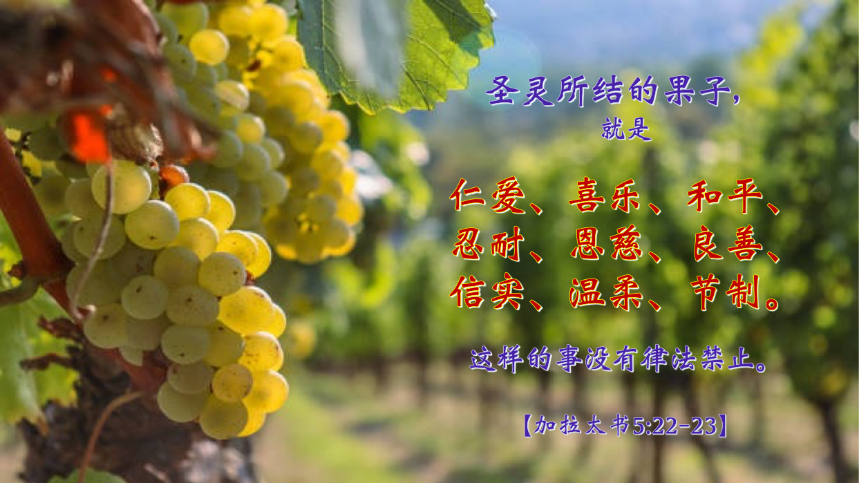 08-25-2025 结圣灵之果