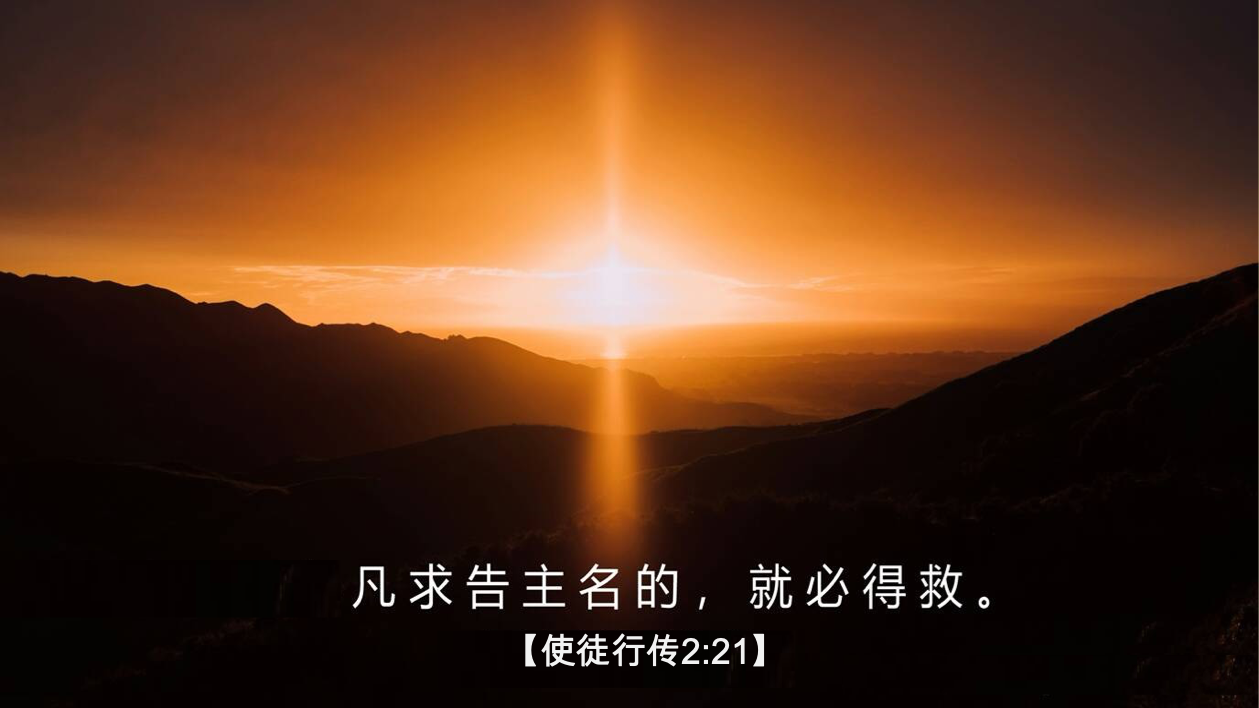 08-28-2025 求必得救