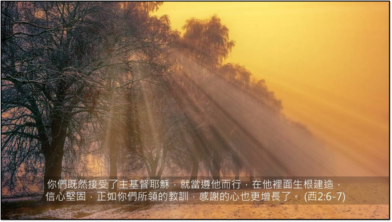 08-30-2025 生根建造