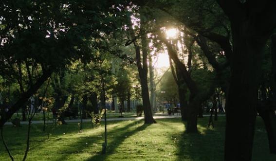 圣经中女子的榜样——才德的妇人