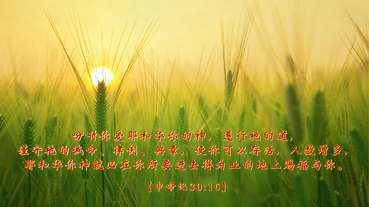 09-03-2025 蒙福之道