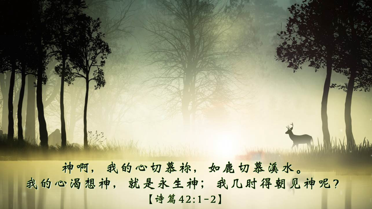 09-08-2025 切慕渴想神