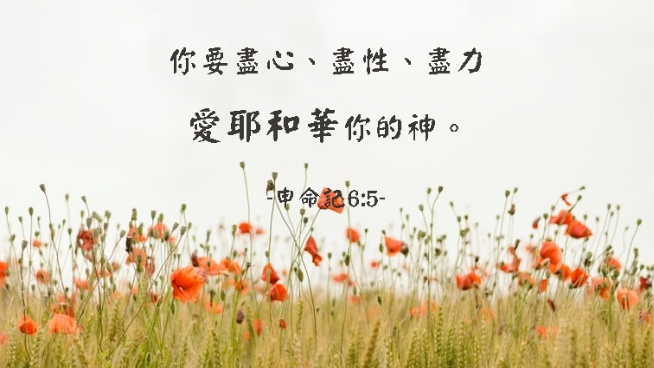 09-13-2025 完全爱神