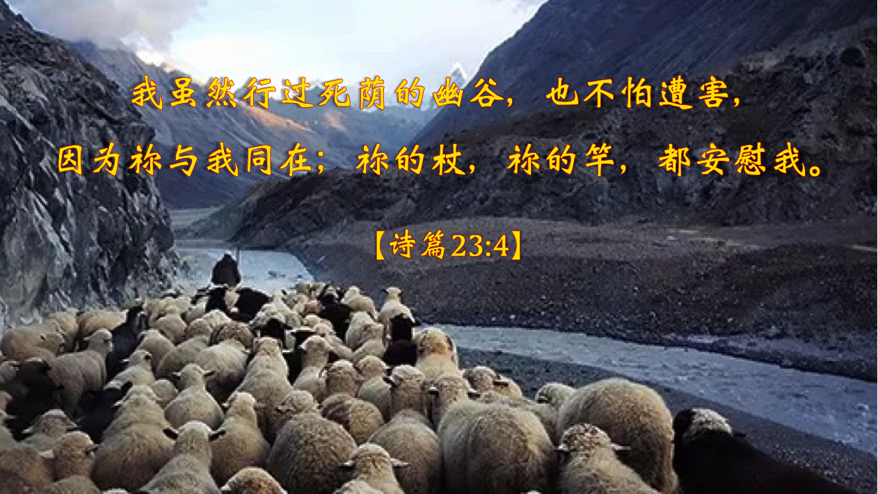 09-19-2025 有主同在