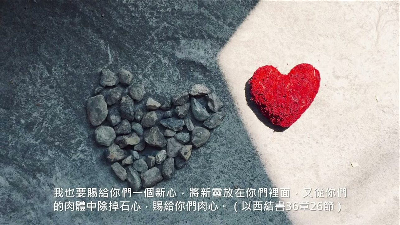 09-20-2025 新人新心