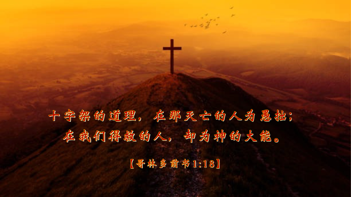 09-25-2025 十架之道