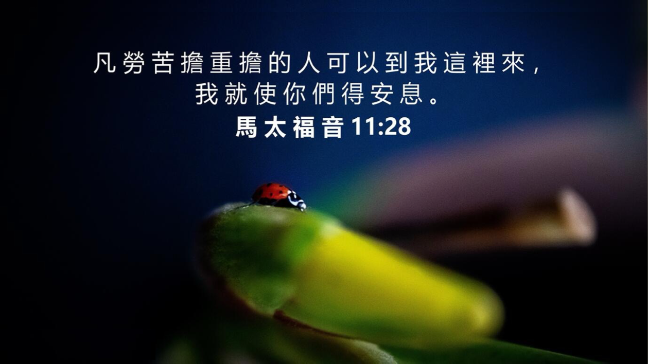 10-02-2025 主使我们得安息