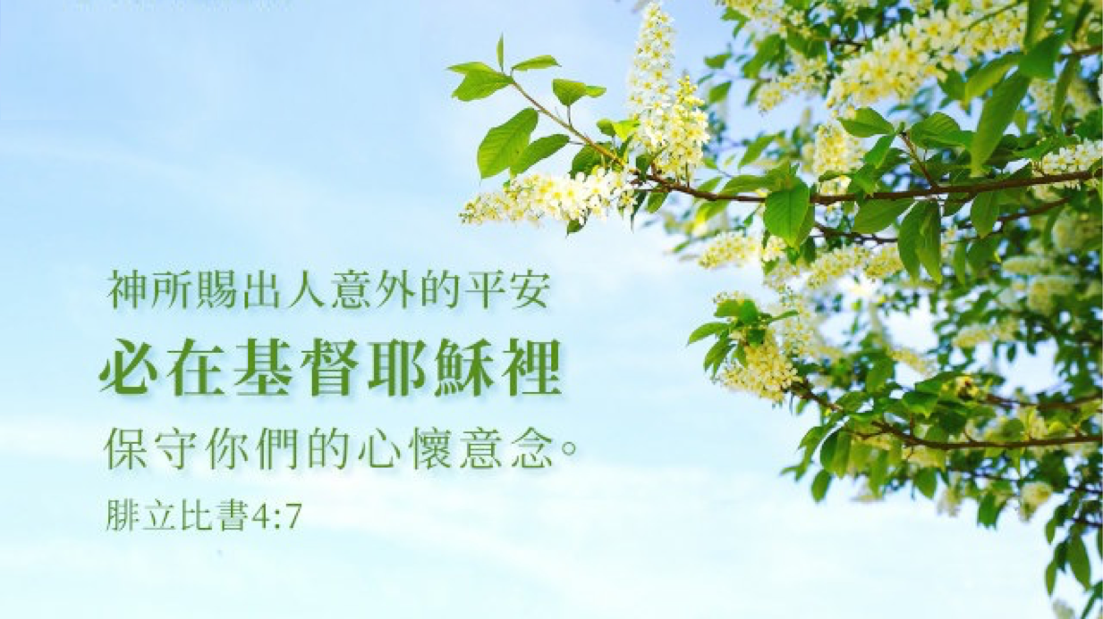 10-27-2025 神所赐的平安