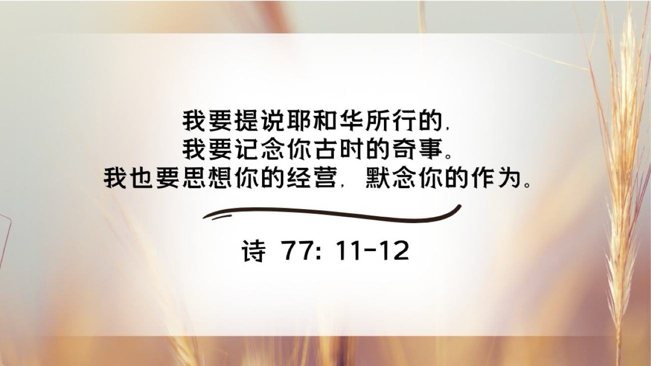 11-02-2025 记念主作为