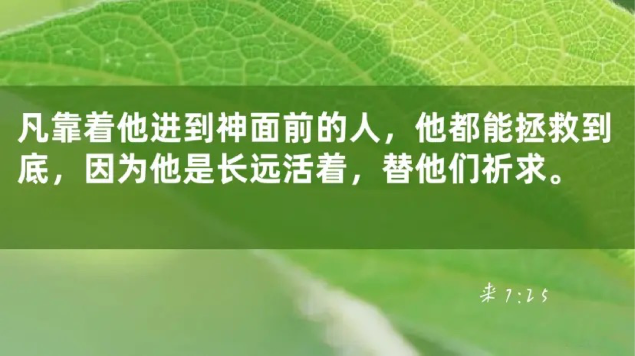 11-17-2025 长远代求的主