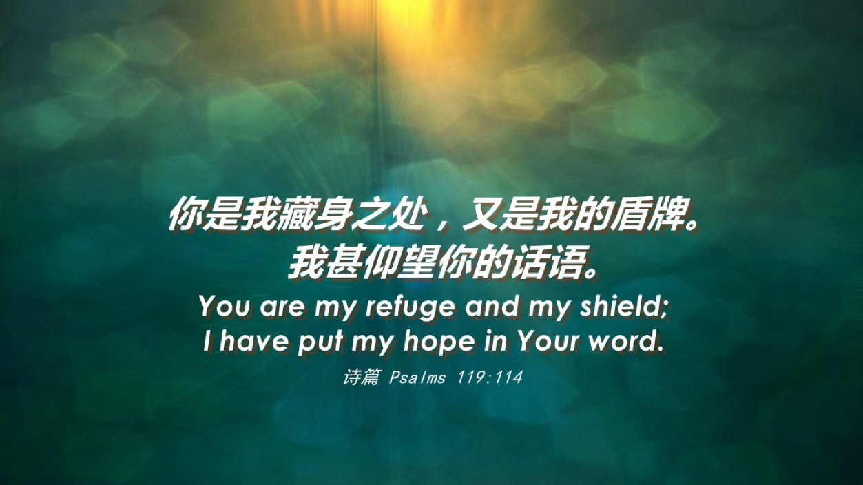 11-23-2025 藏身与盼望