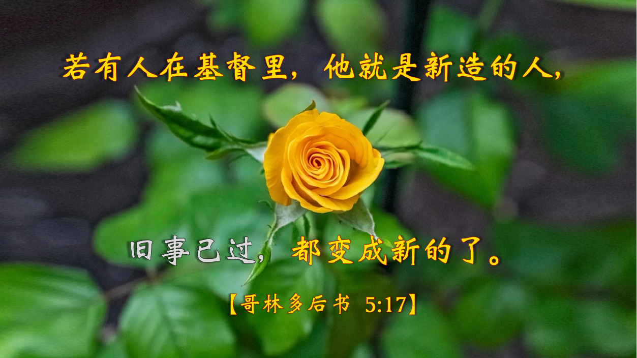 11-27-2025 在基督里更新