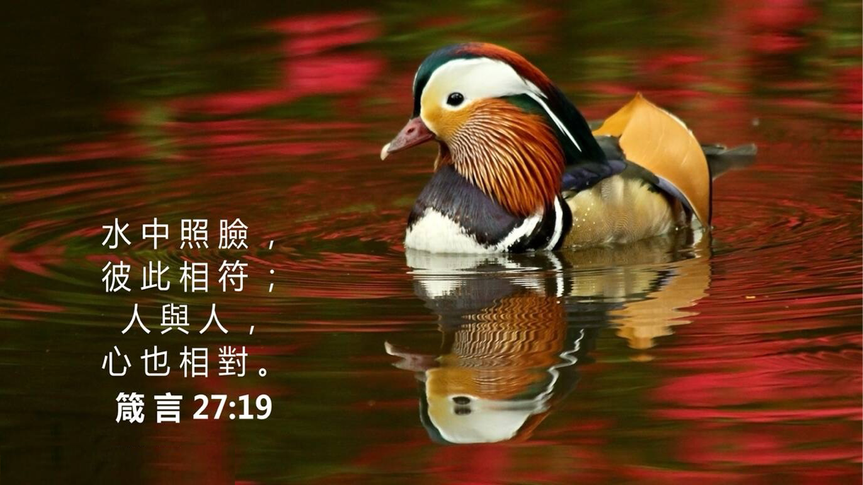12-01-2025 心中的镜