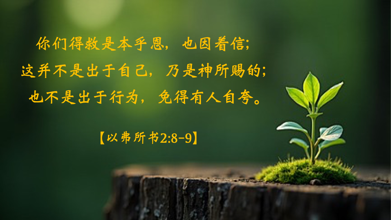 12-31-2025 本乎恩. 因着信