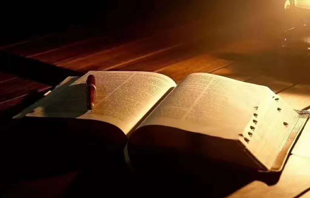 司布真：论神的拣选