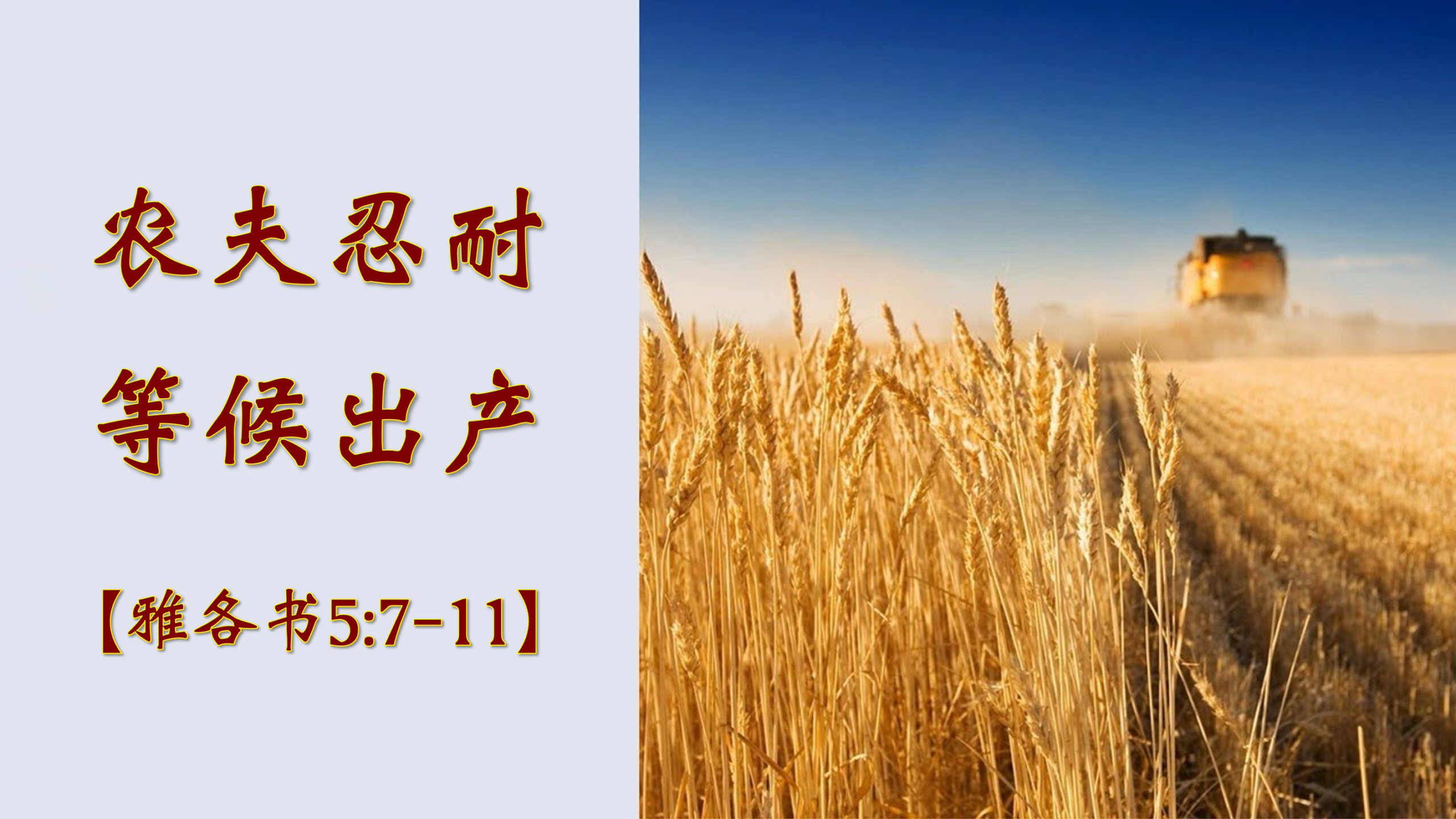 农夫忍耐，等候出产